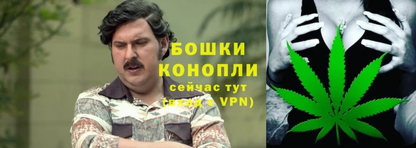 спиды Арсеньев