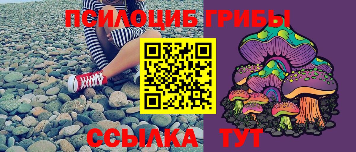 Псилоцибиновые грибы прущие грибы Усолье-Сибирское
